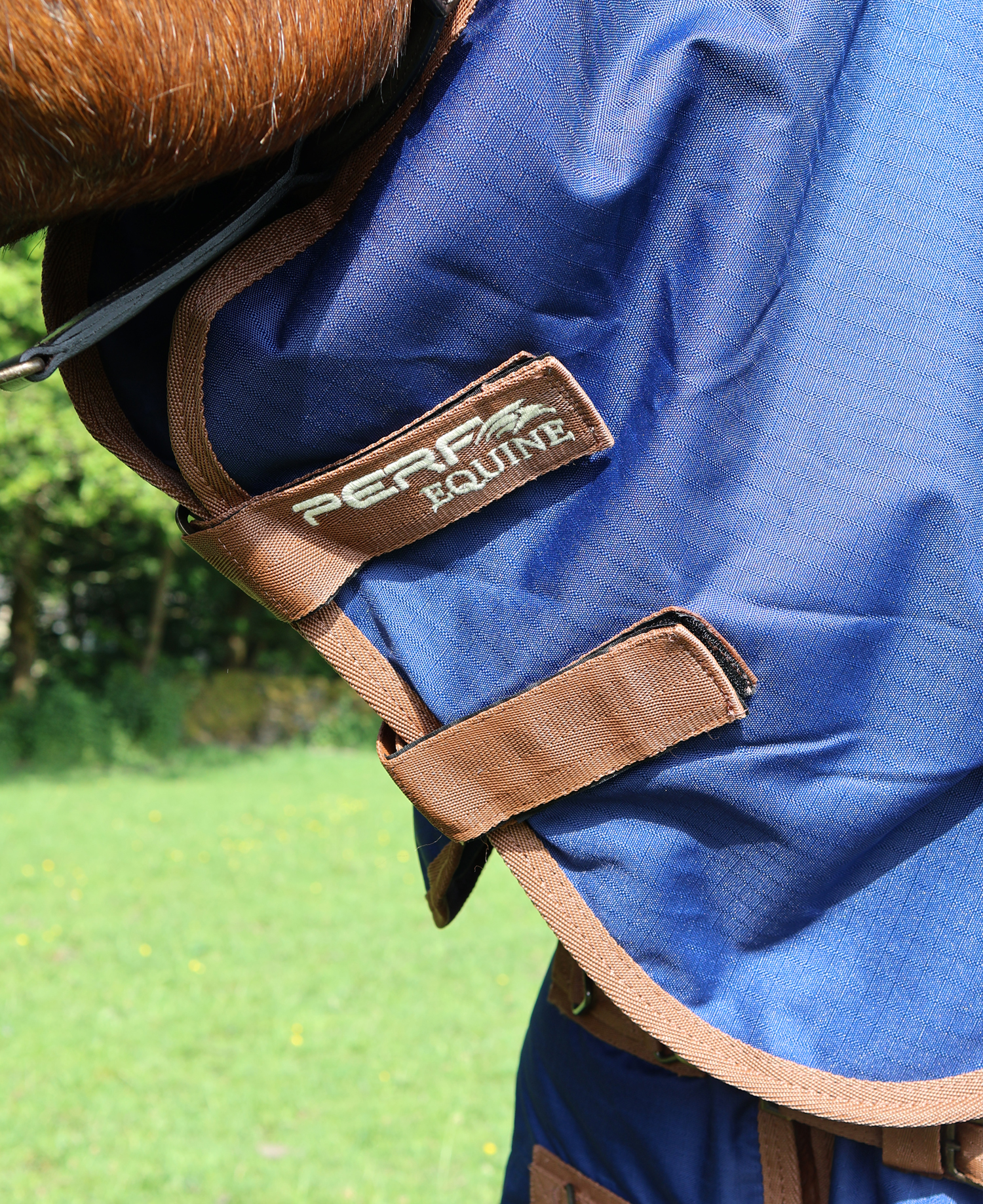 Perf 100g Detachable Neck Turnout Rug - True Navy - Image 6