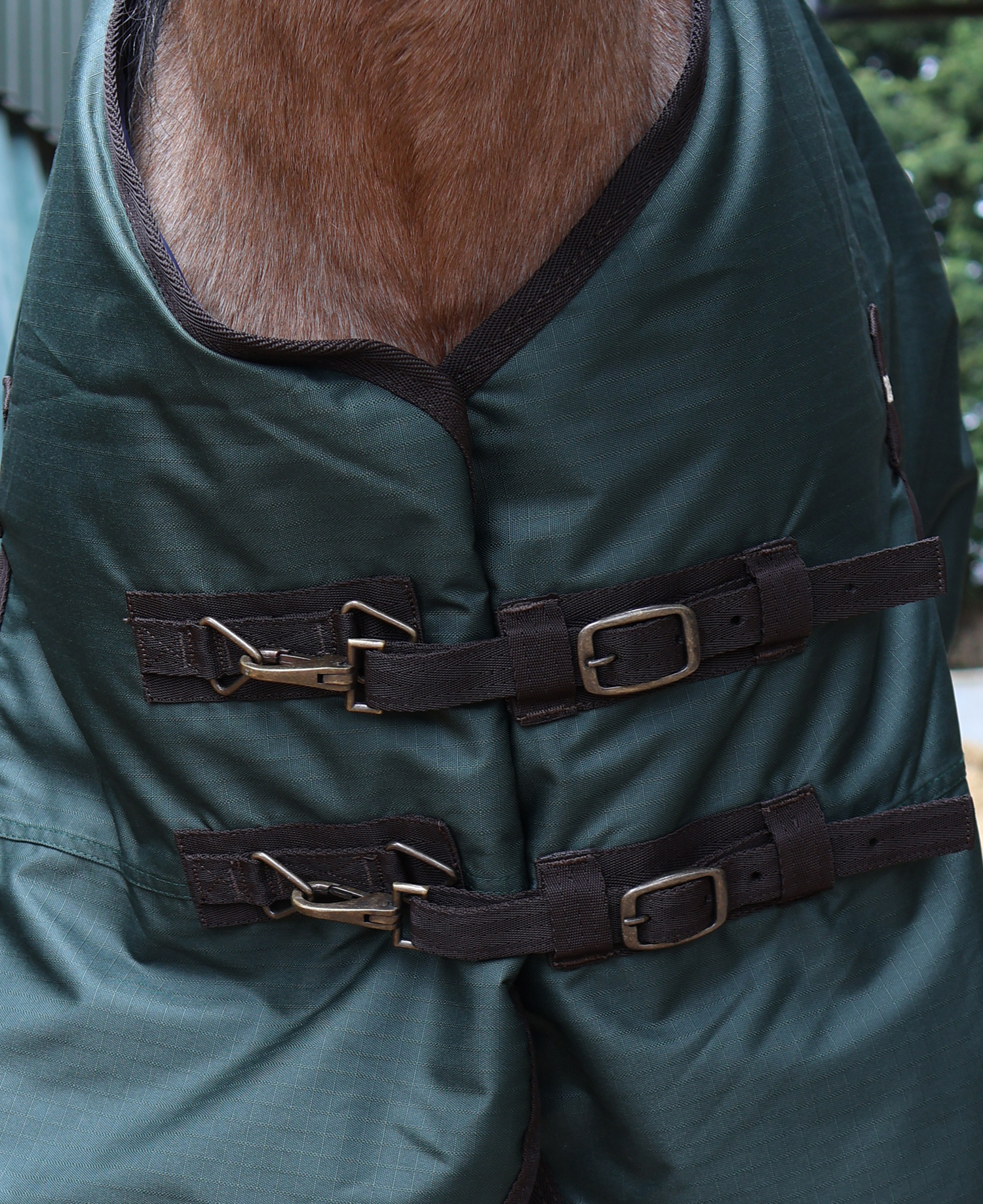 Perf 200g Standard Neck Turnout Rug - Dark Green - Image 5