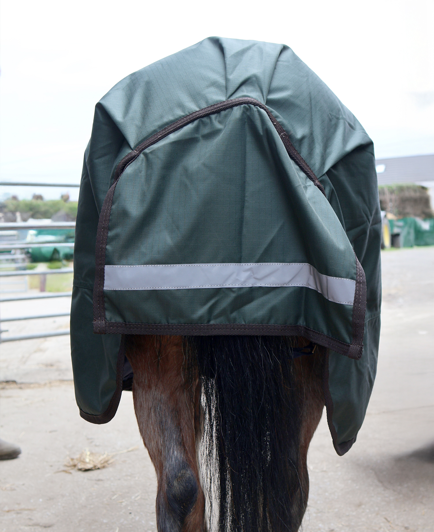 Perf 200g Standard Neck Turnout Rug - Dark Green - Image 7