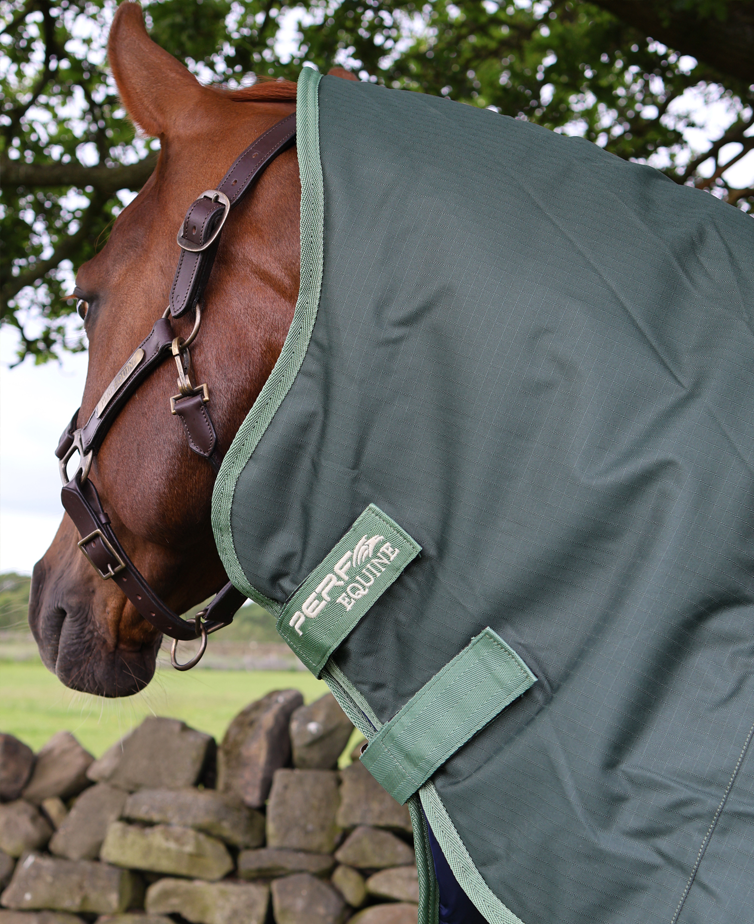 Perf 300g Detachable Neck Turnout Rug - Dark Green - Image 6
