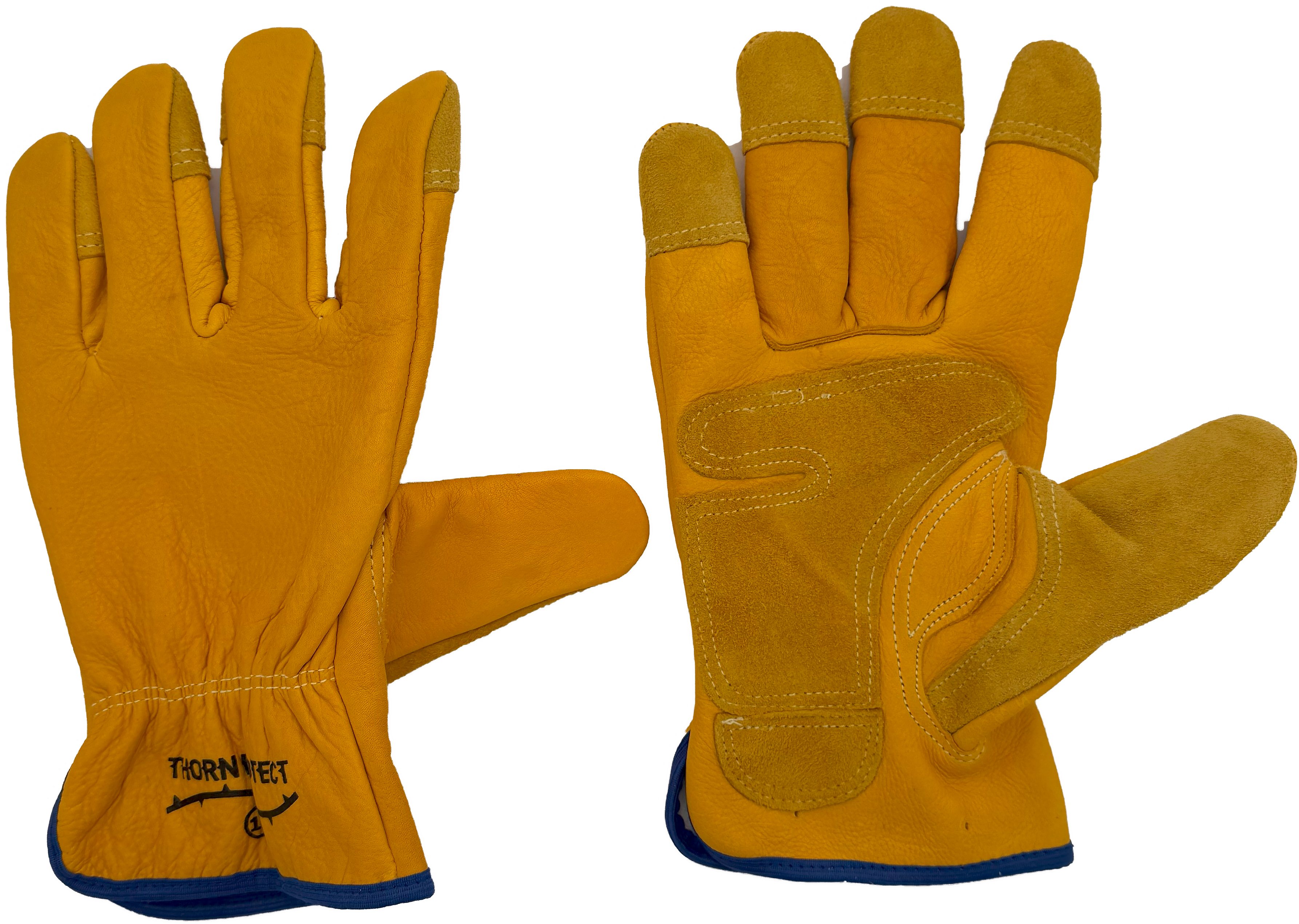 G24 Gloves