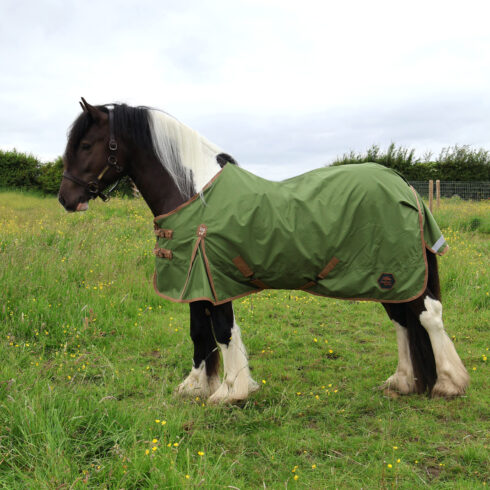Perf 0g Standard Neck Turnout Rug - Light Olive