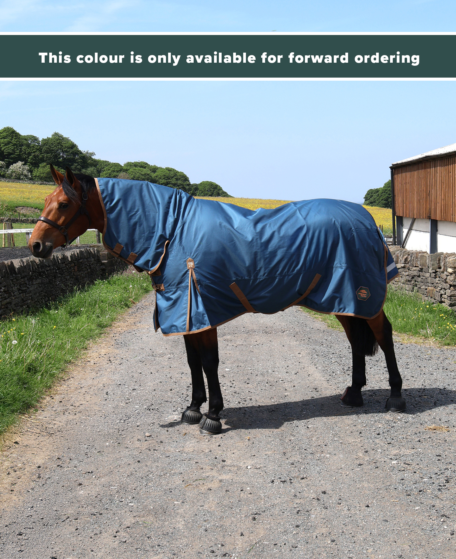 Perf 0g Combo Neck Turnout Rug - Light Olive - Image 2