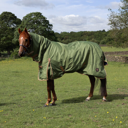 Perf 0g Combo Neck Turnout Rug - Light Olive