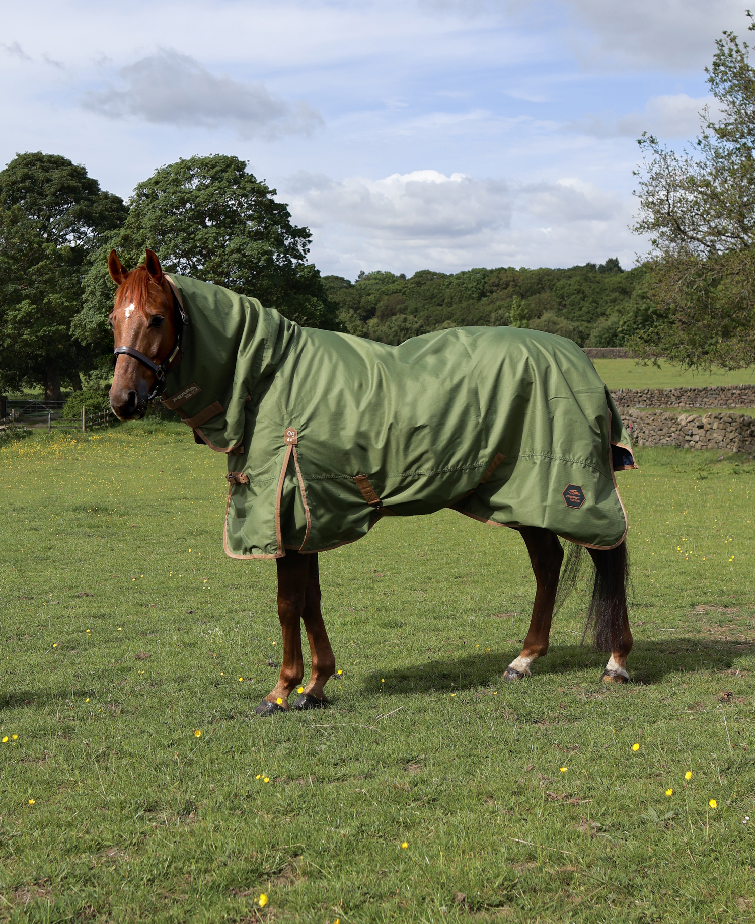Perf 0g Combo Neck Turnout Rug - Light Olive
