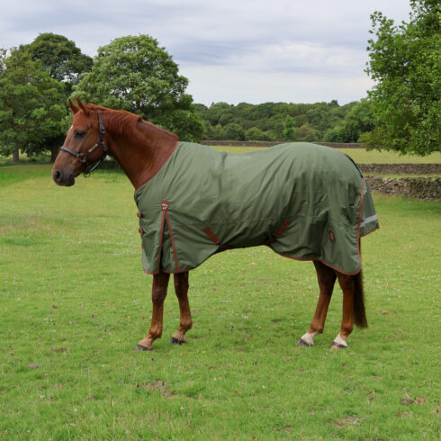 Perf 50g Standard Neck Turnout Rug - Heritage Olive