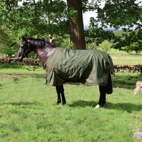 Perf 100g Standard Neck Turnout Rug - Heritage Olive