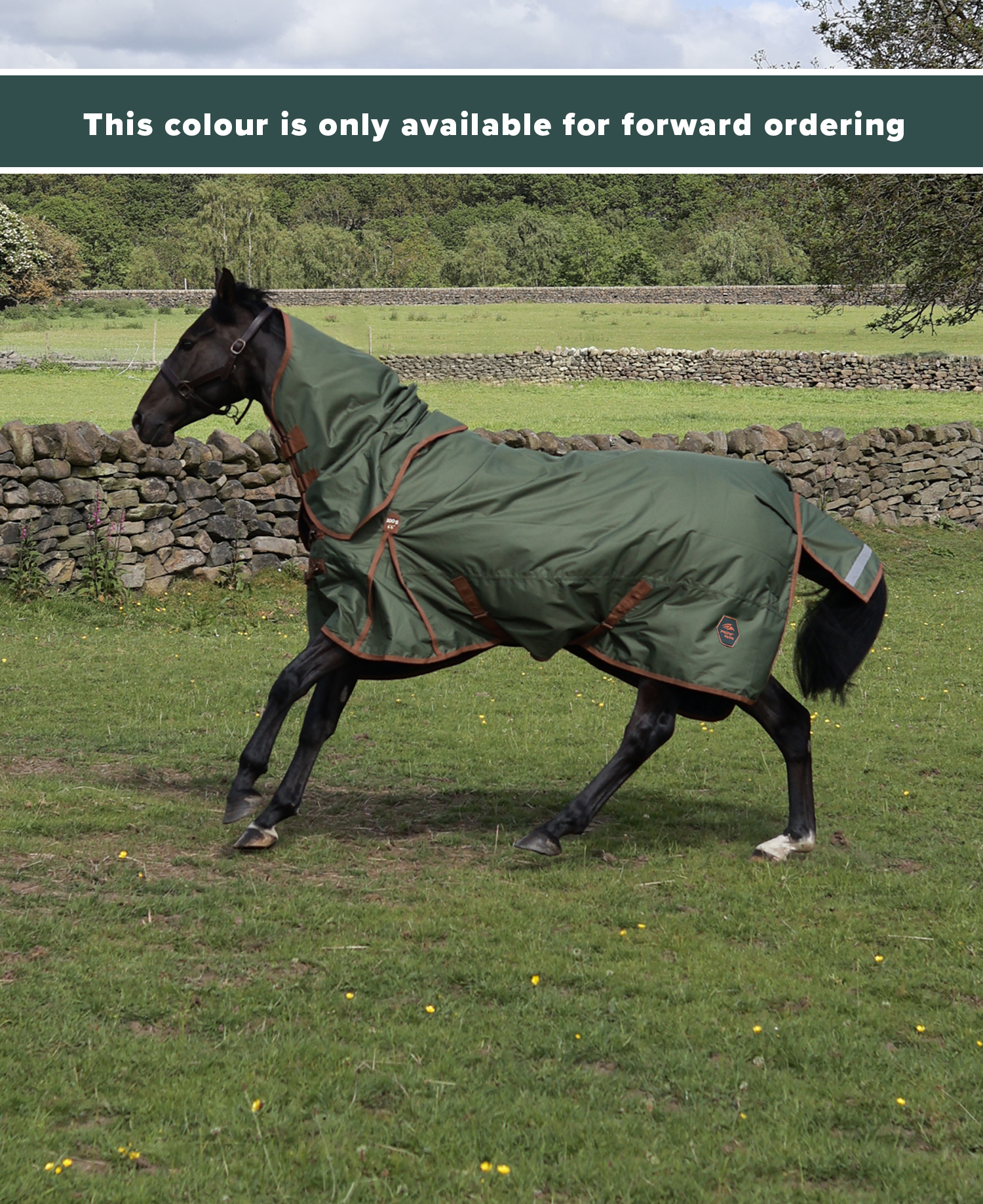 Perf 100g Detachable Neck Turnout Rug - True Navy - Image 2