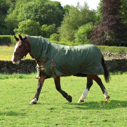 Perf 100g Combo Turnout Rug - Heritage Olive