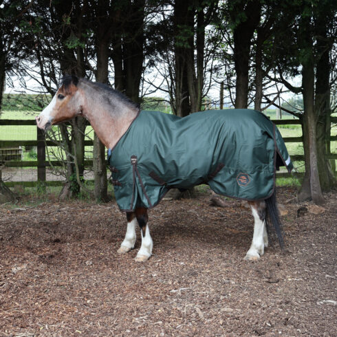 Perf 200g Standard Neck Turnout Rug - Dark Green