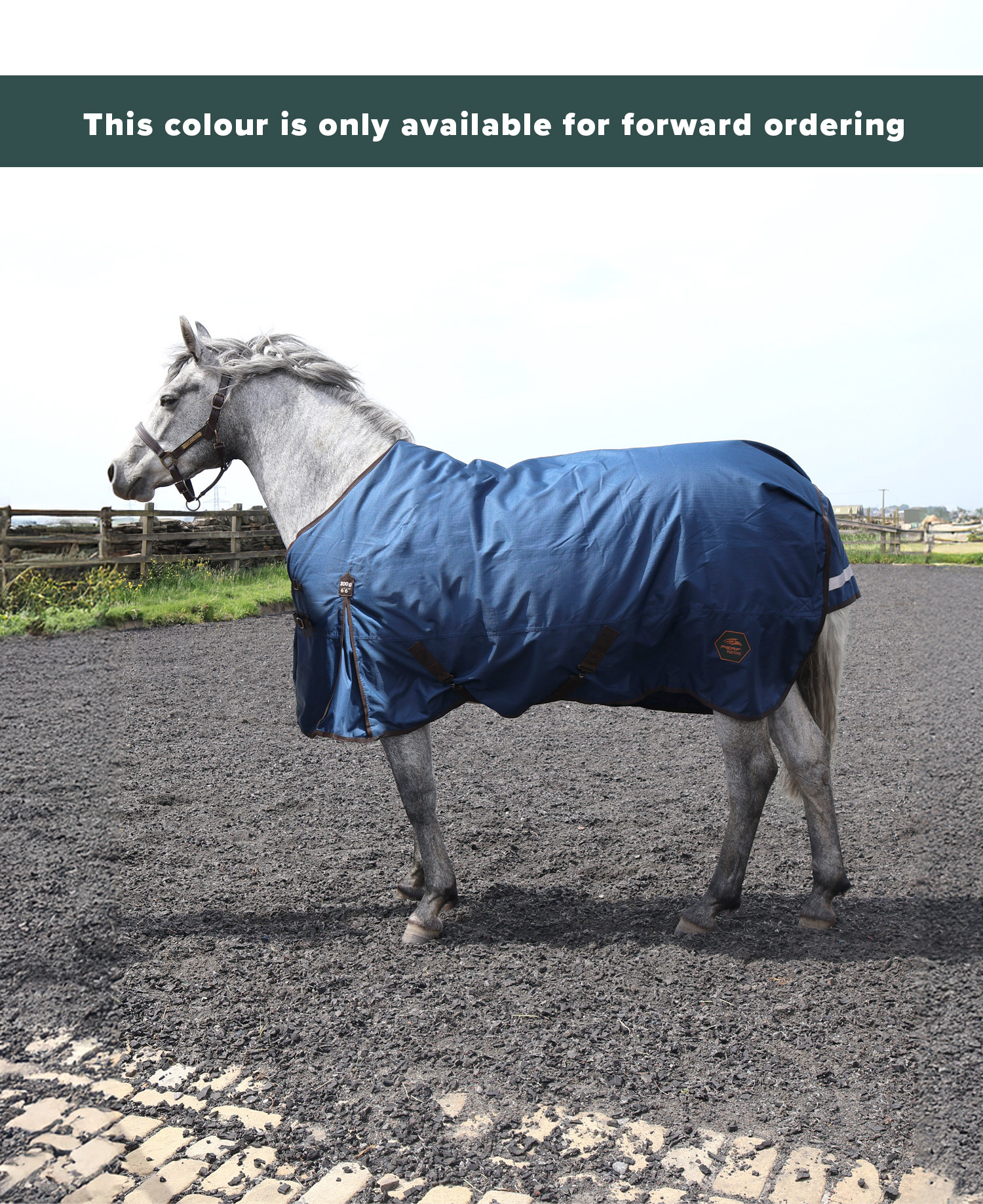 Perf 200g Standard Neck Turnout Rug - Dark Green - Image 2