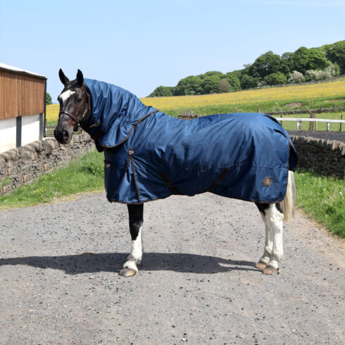 Perf 200g Detachable Neck Turnout Rug - Dark Navy