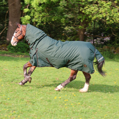 Perf 200g Combo Turnout Rug - Dark Green