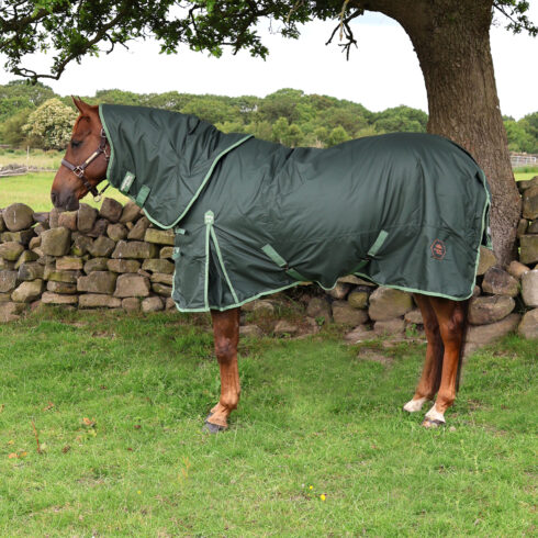 Perf 300g Detachable Neck Turnout Rug - Dark Green
