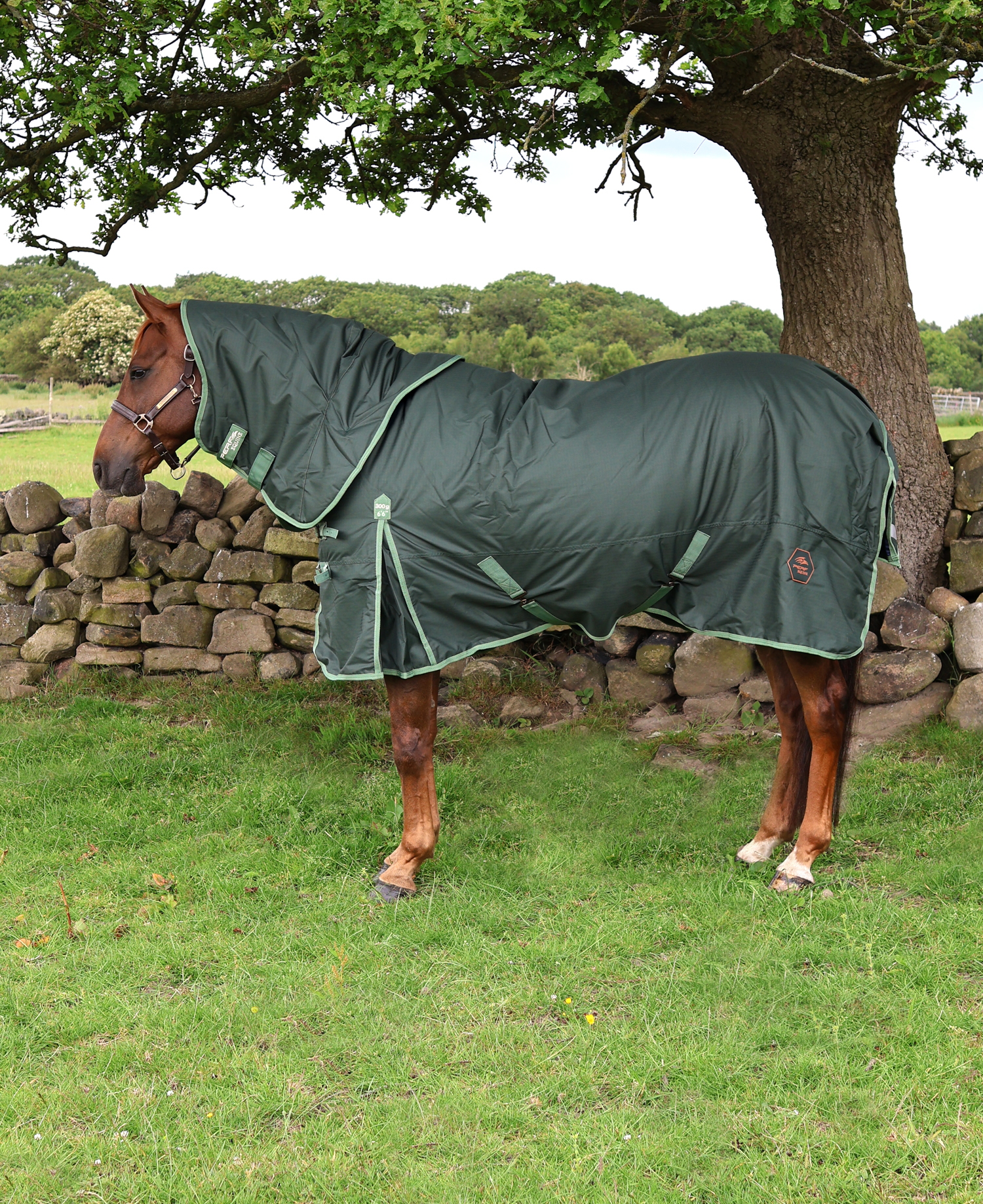 Perf 300g Detachable Neck Turnout Rug - Dark Green