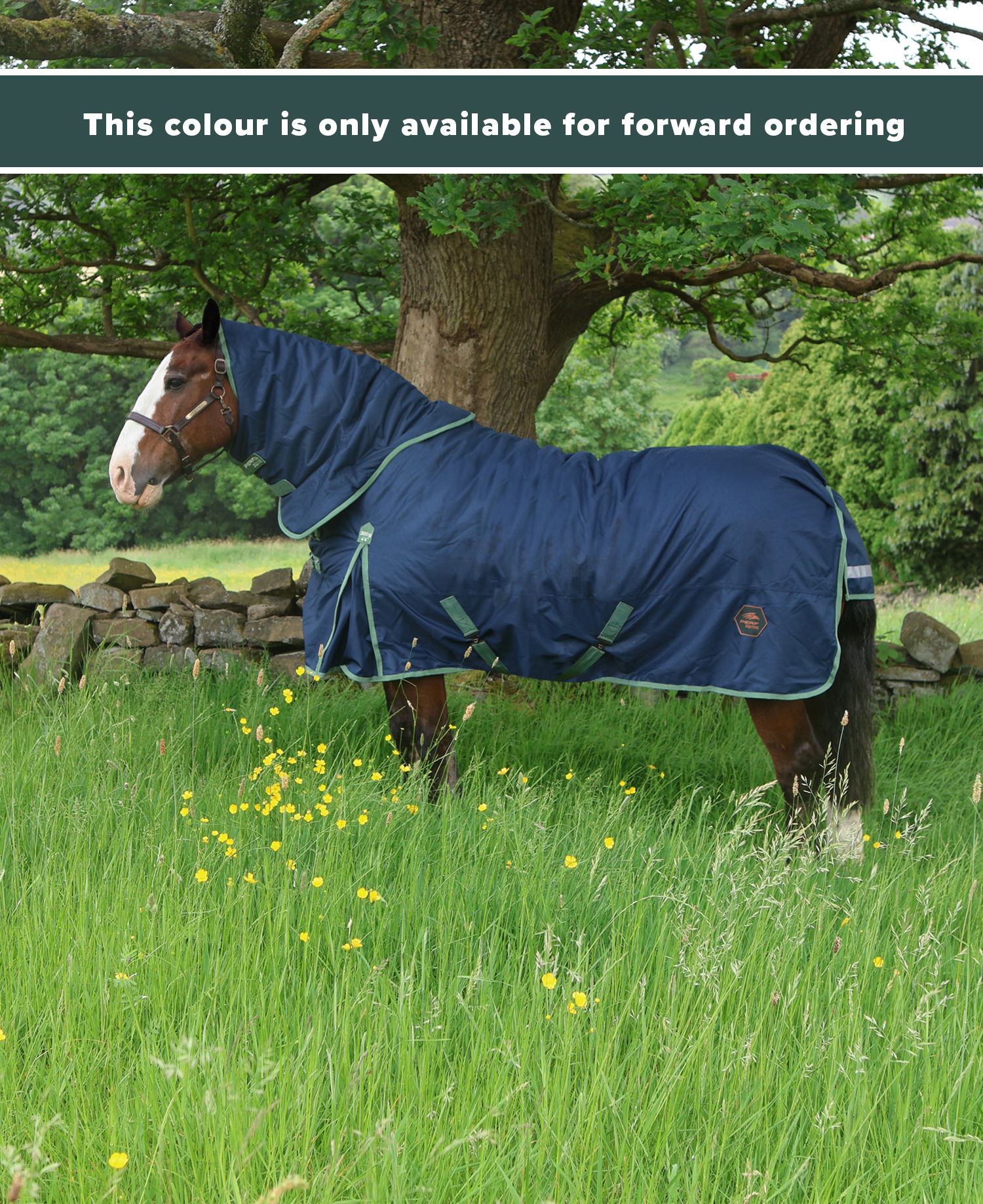 Perf 300g Detachable Neck Turnout Rug - Dark Green - Image 2