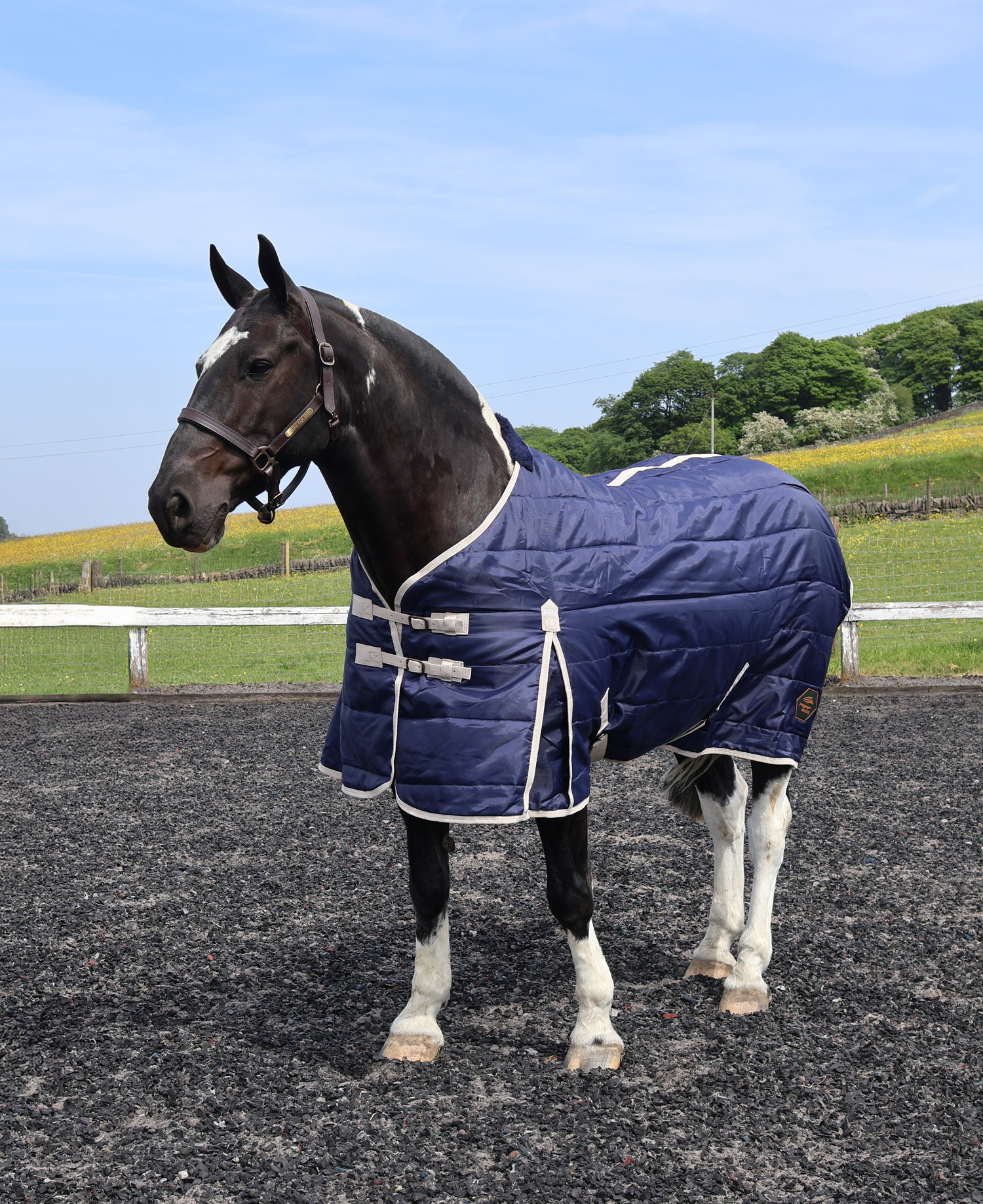 Perf Stable Rug 100g Standard Neck - Dark Navy - Image 6