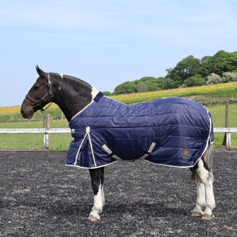 Perf Stable Rug 100g Standard Neck - Dark Navy