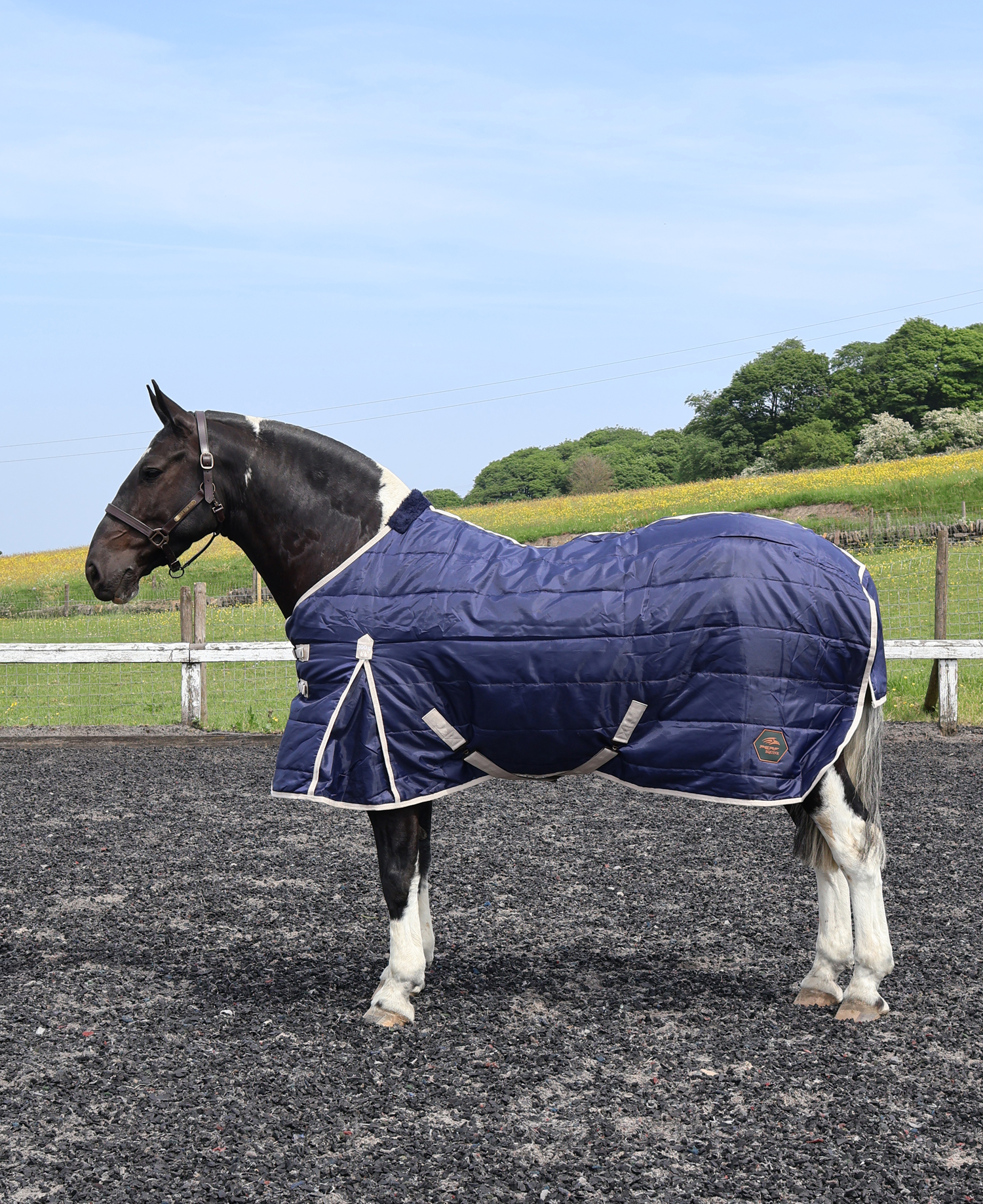 Perf Stable Rug 100g Standard Neck - Dark Navy