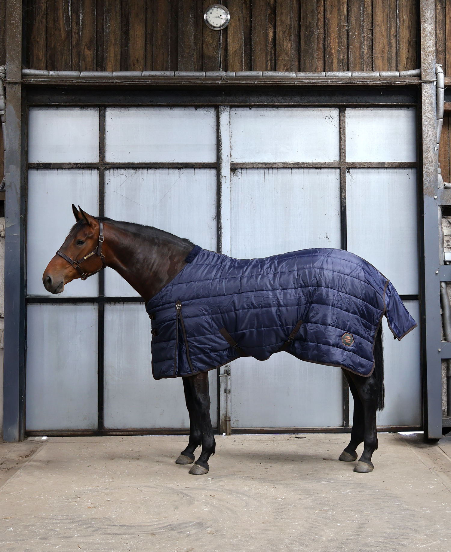 Perf Stable Rug 200g Standard Neck - Dark Navy