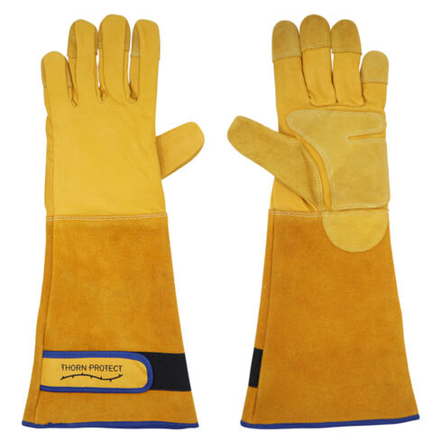 Spike Thorn Protect Leather Gloves